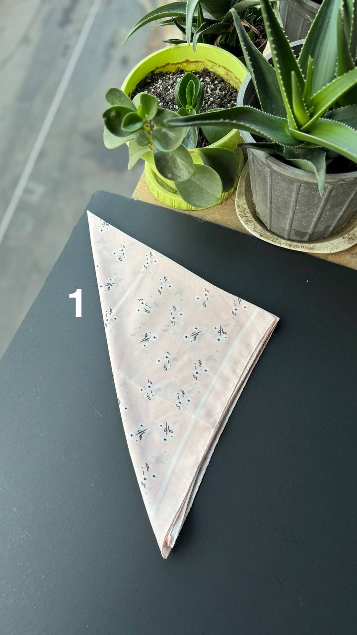 photo_8_2025-09-05_21-43-54