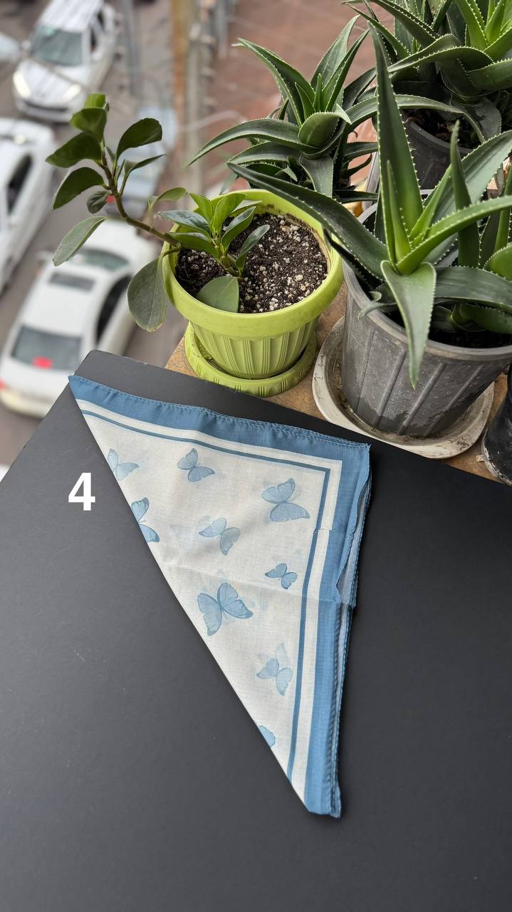 photo_8_2025-09-21_05-20-22