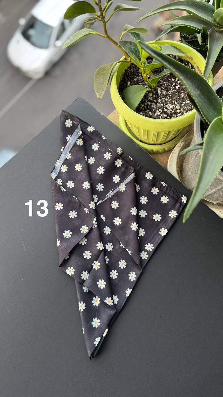 photo_8_2025-09-21_05-56-24