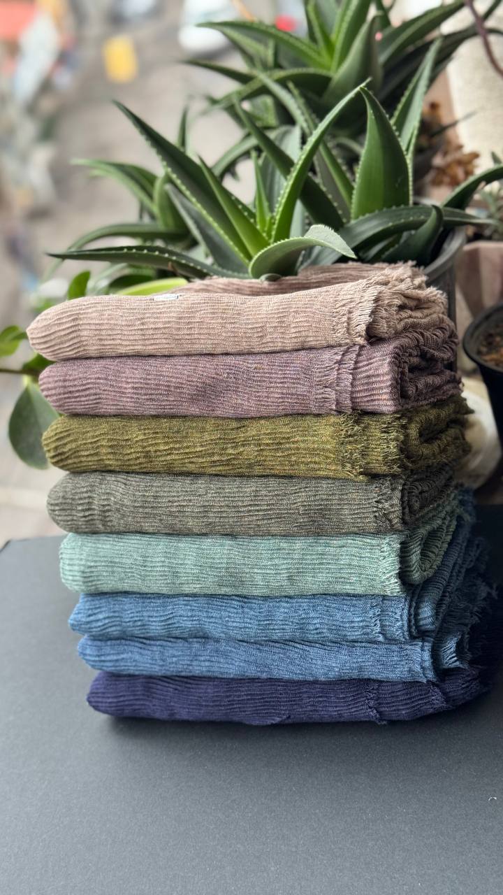 photo_8_2025-09-21_06-38-06