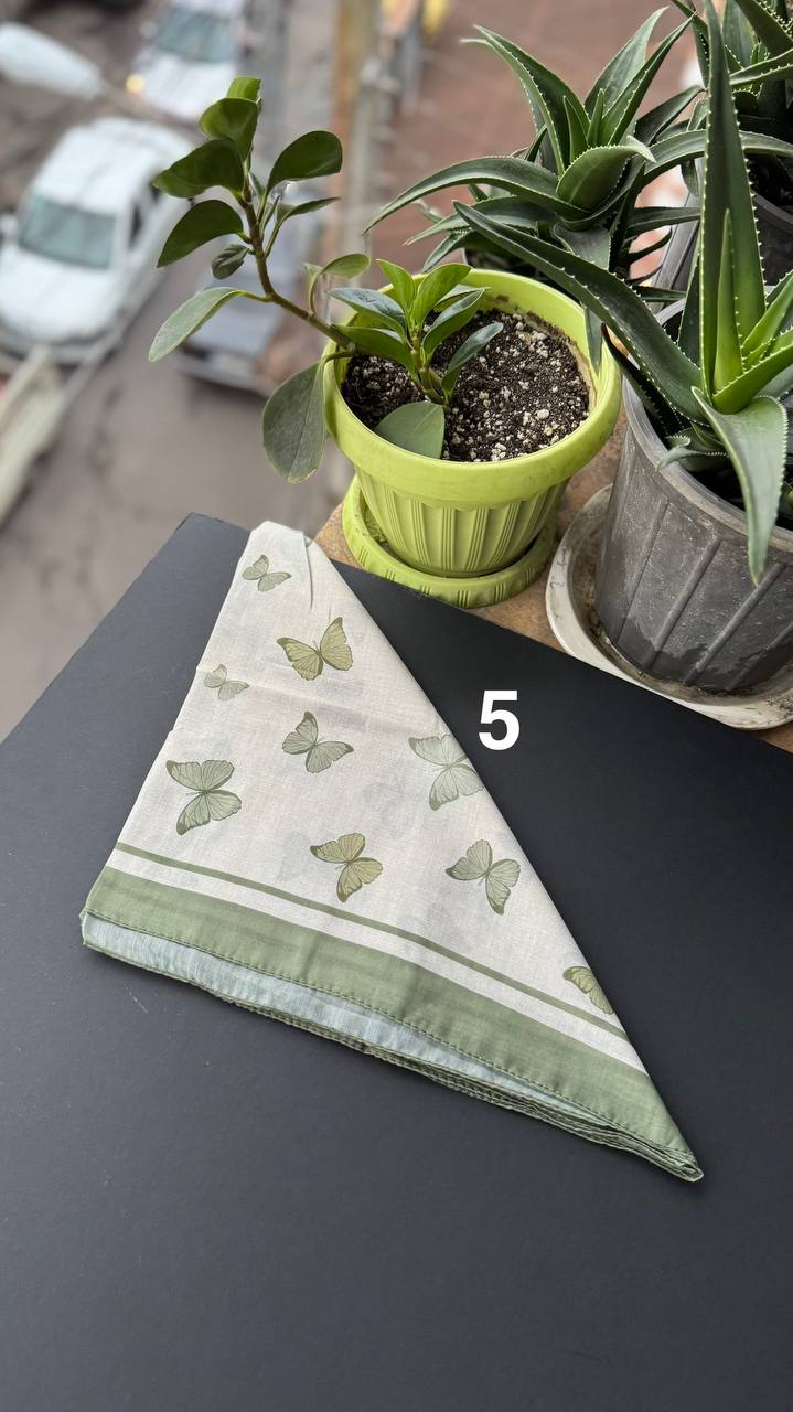 photo_9_2025-09-21_05-20-22