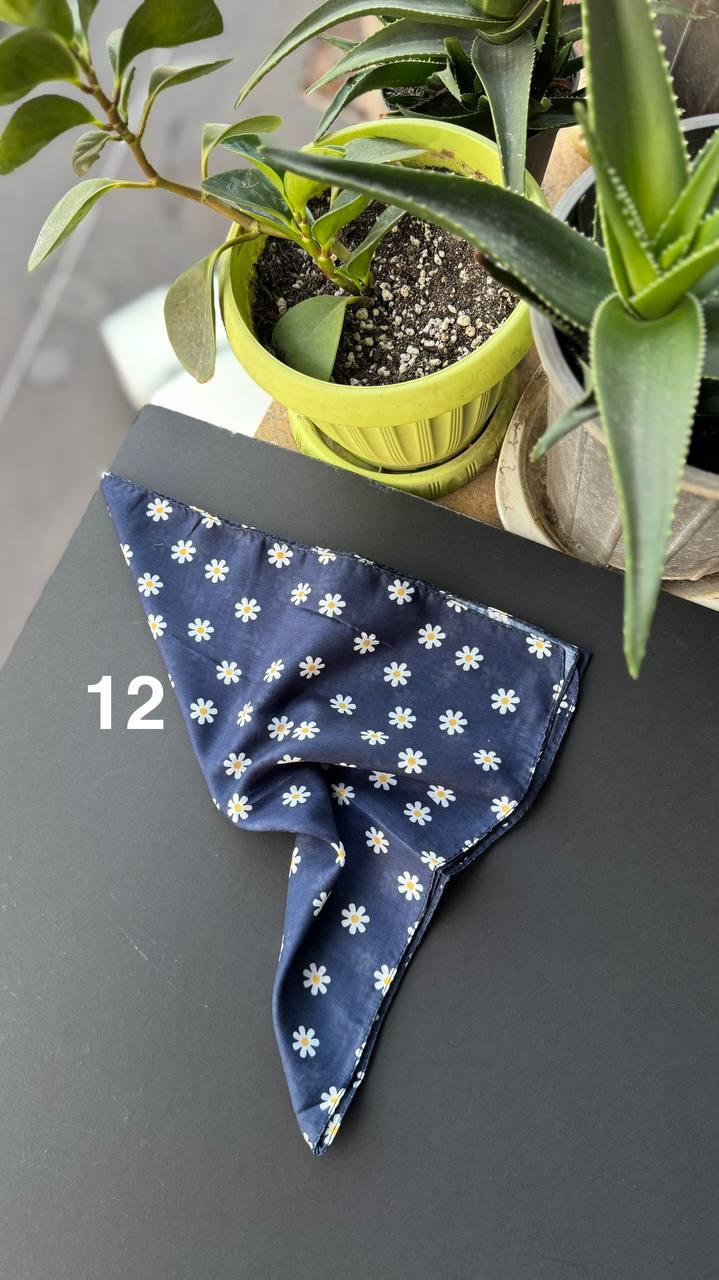 photo_9_2025-09-21_05-56-24