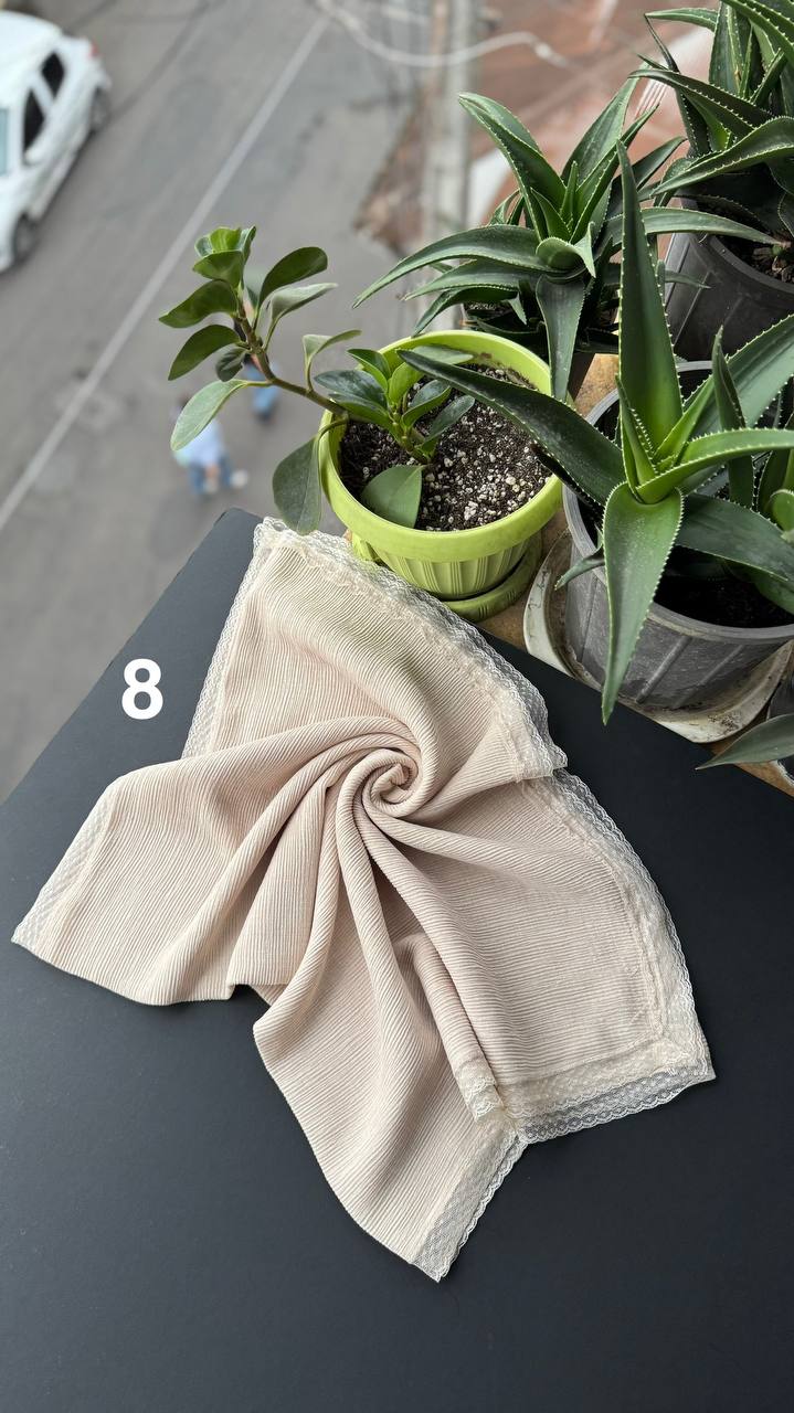 photo_9_2025-09-21_06-29-52