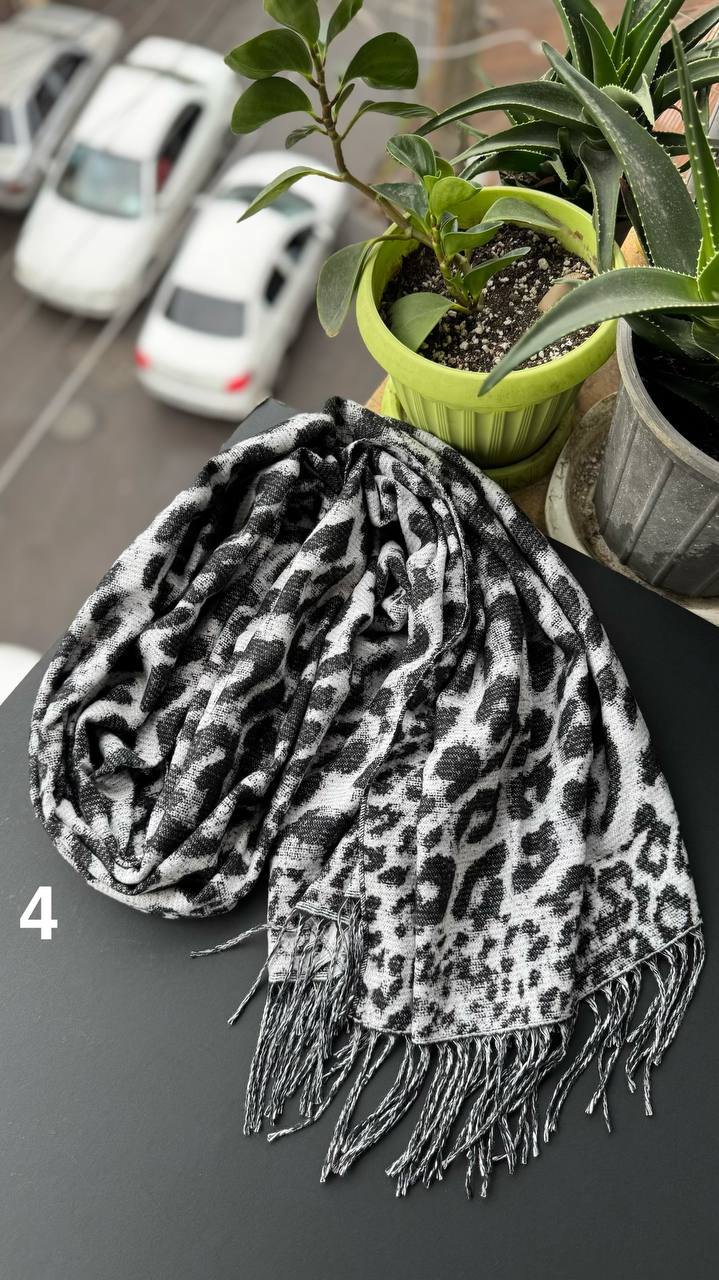 photo_10_2025-10-03_10-14-36