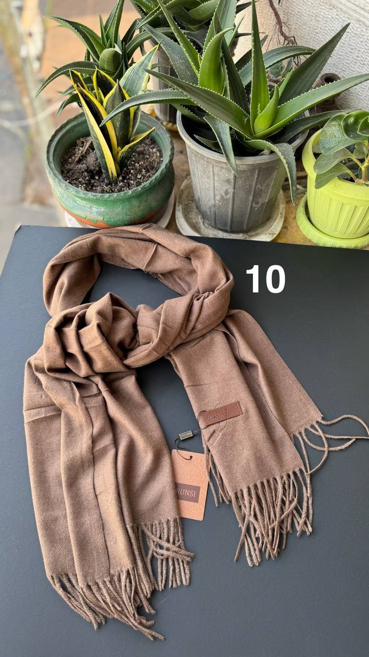 photo_10_2025-10-10_10-09-37