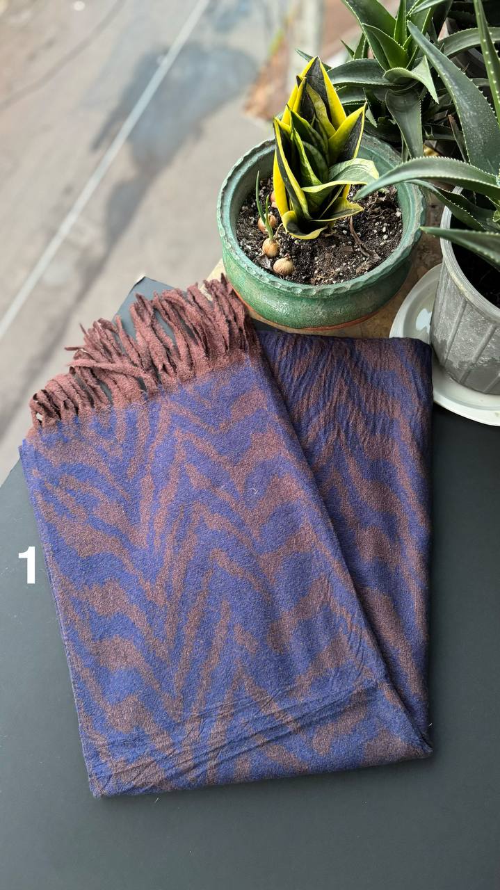 photo_10_2025-10-17_19-28-19