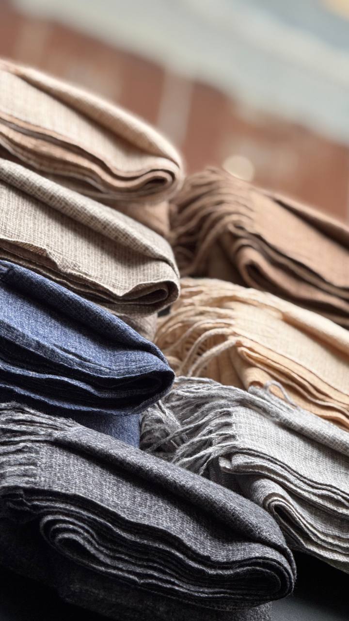 photo_10_2025-10-24_16-01-48