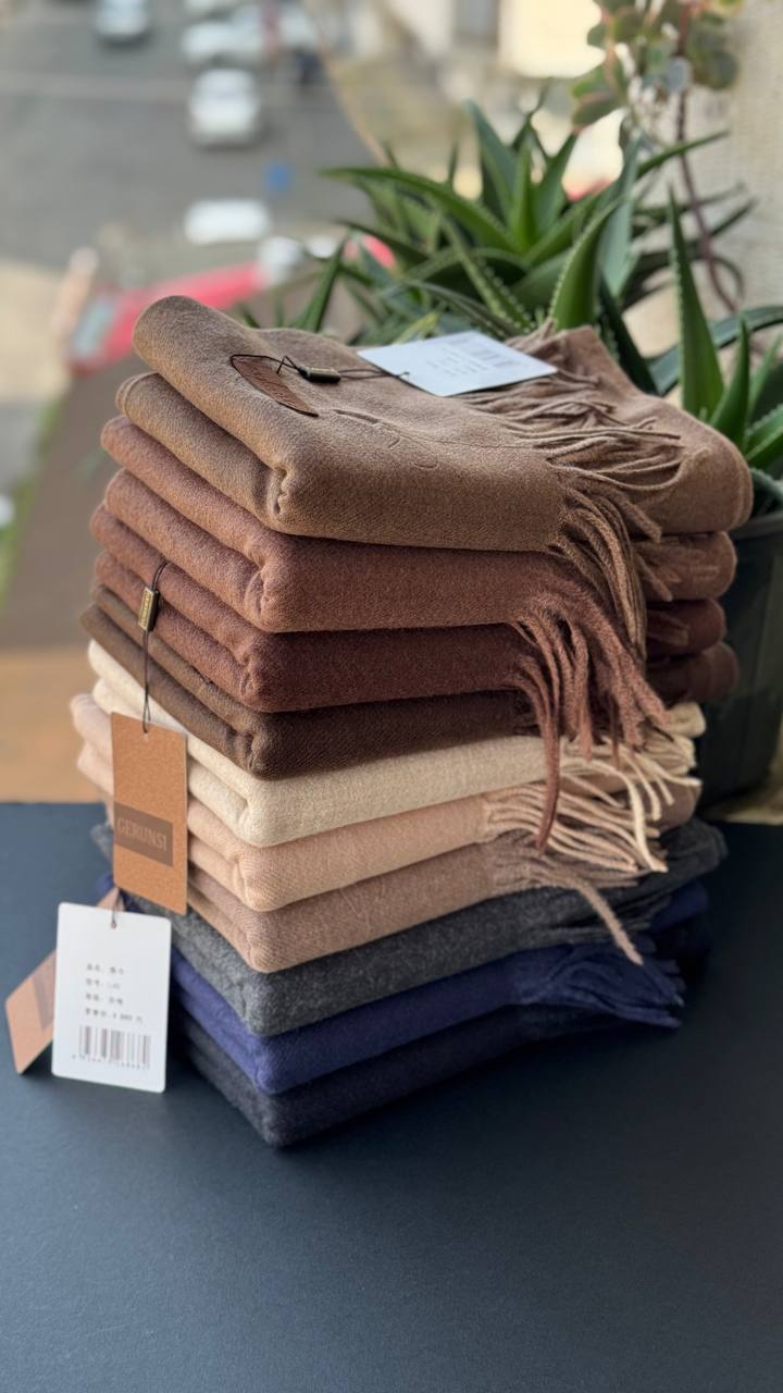 photo_11_2025-10-10_10-09-37