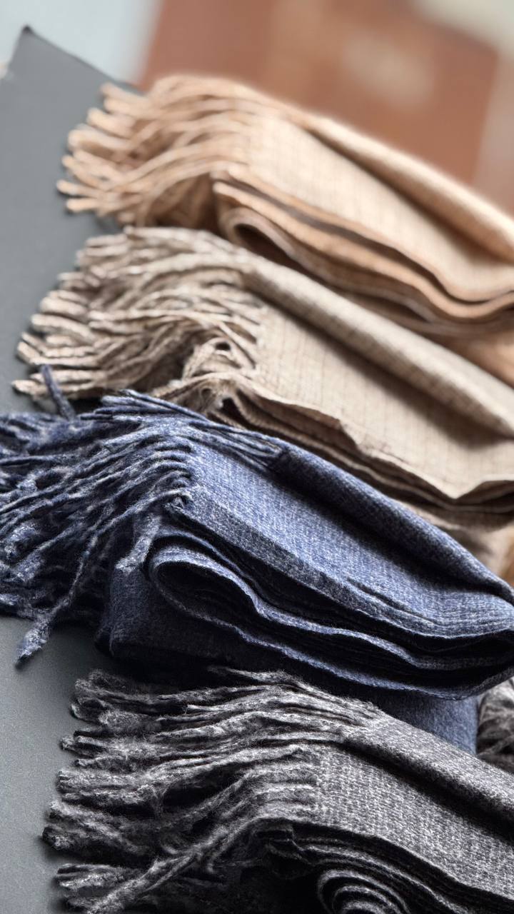 photo_11_2025-10-24_16-01-48