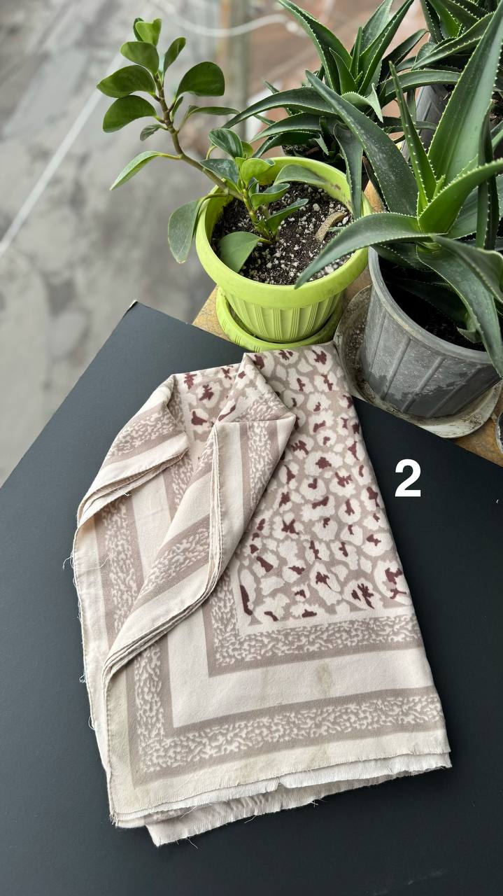 photo_12_2025-10-03_15-23-36