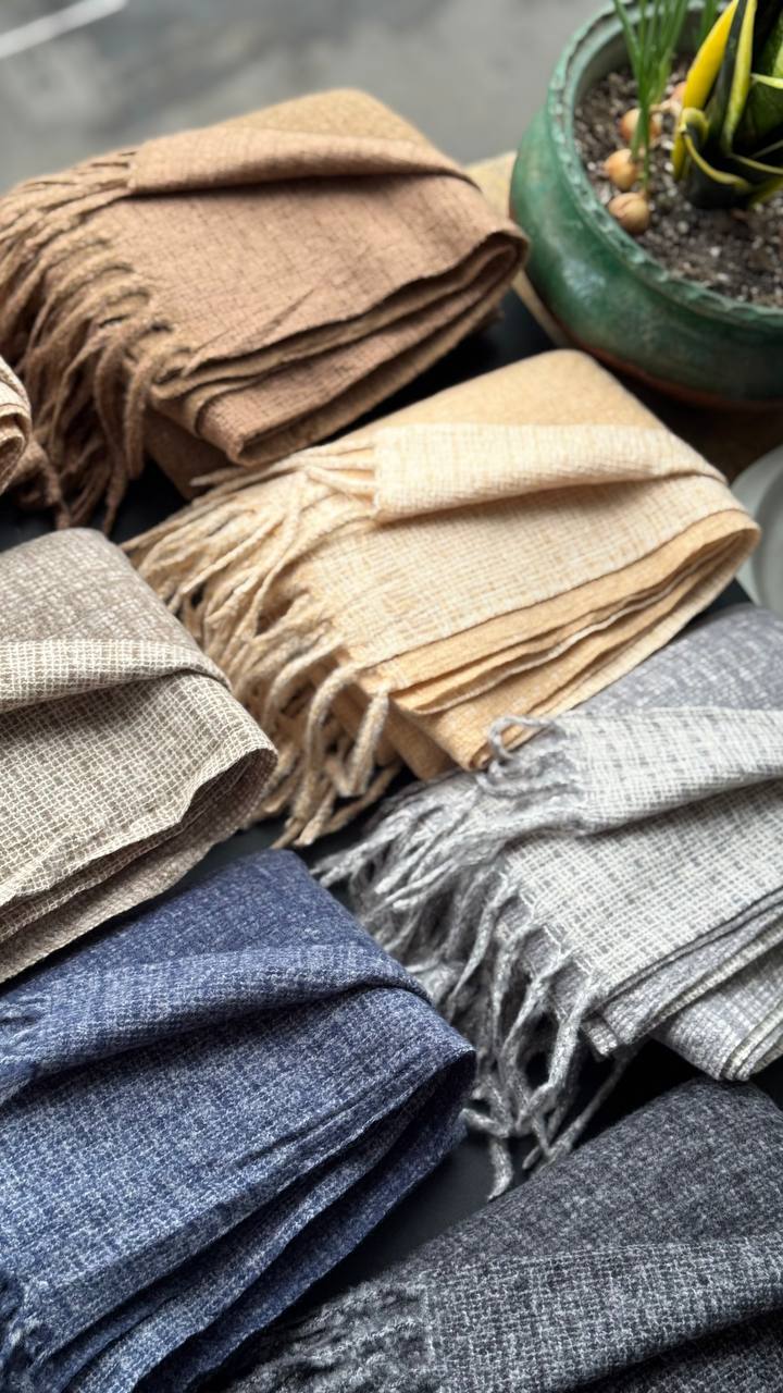 photo_12_2025-10-24_16-01-48