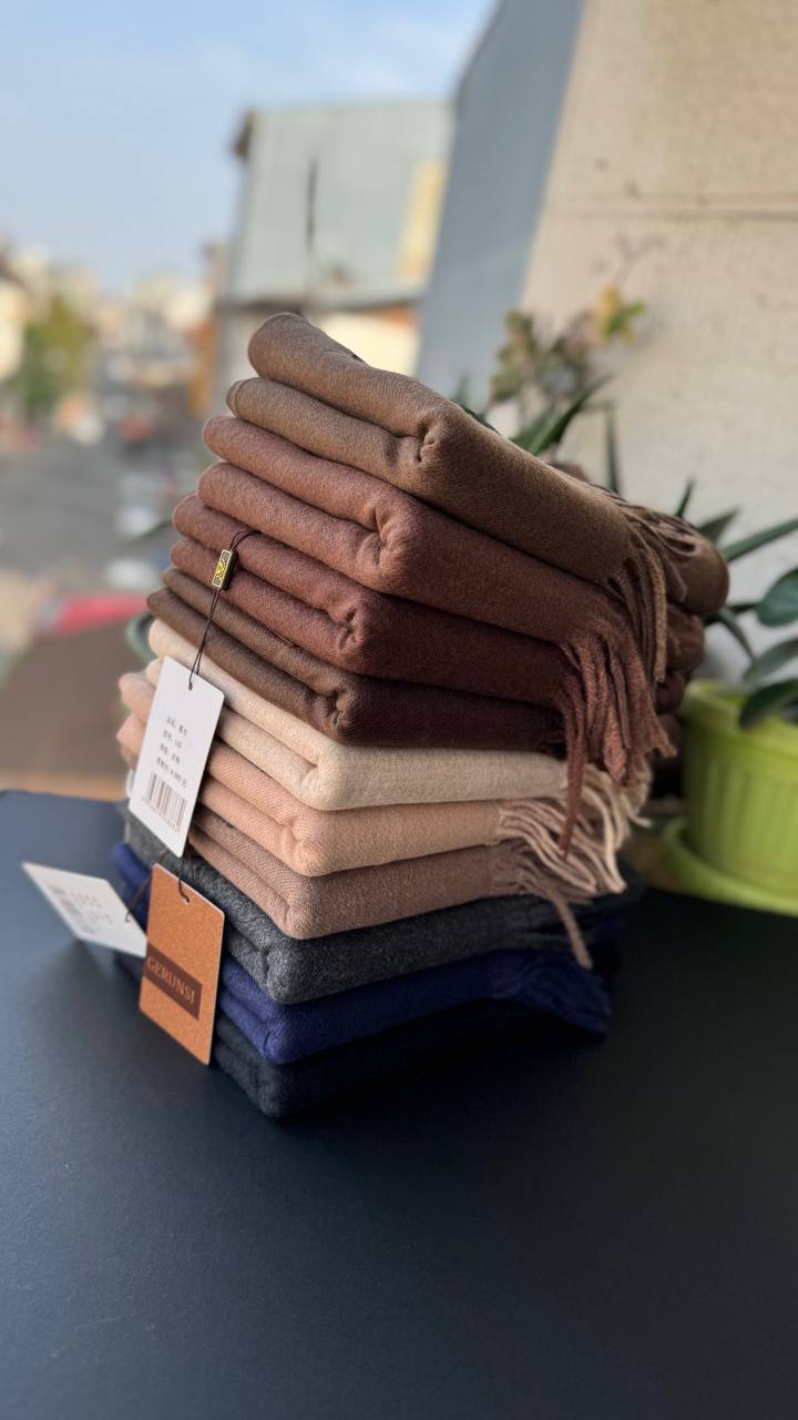 photo_13_2025-10-10_10-09-37