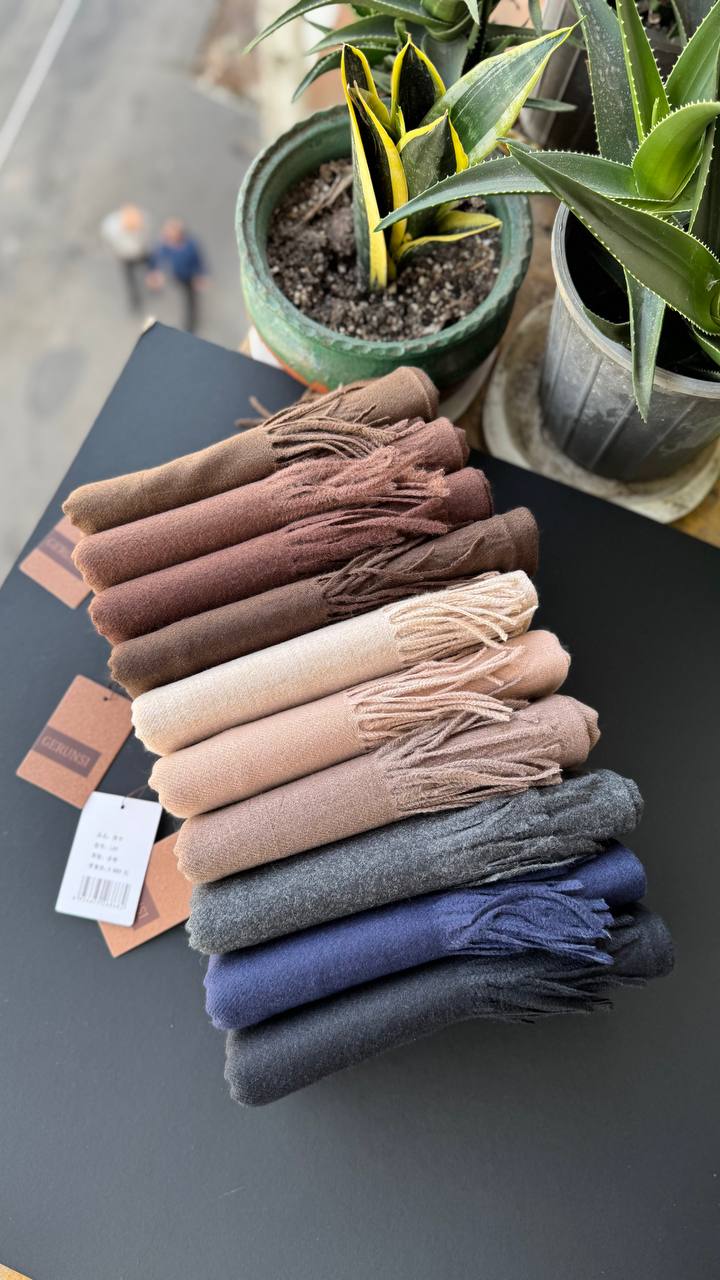 photo_15_2025-10-10_10-09-37