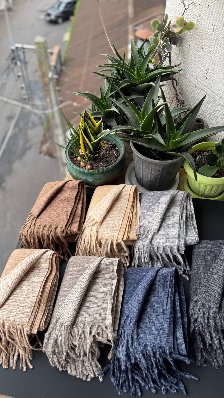 photo_15_2025-10-24_16-01-48