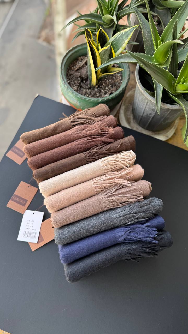 photo_16_2025-10-10_10-09-37