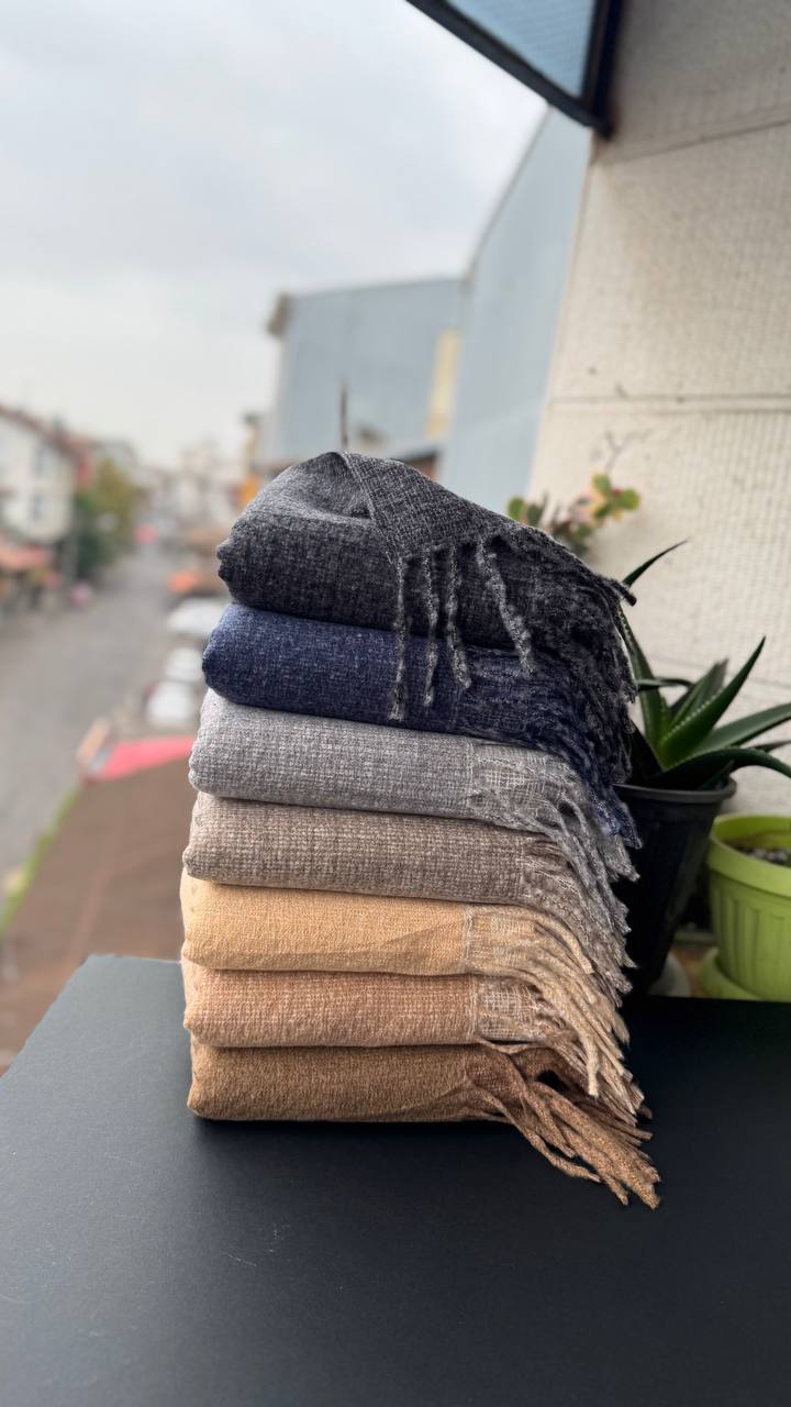 photo_16_2025-10-24_16-01-48