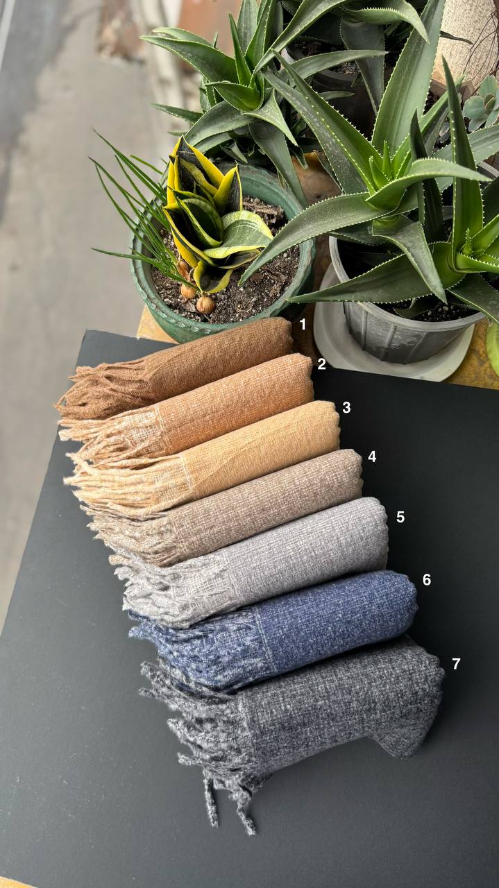 photo_17_2025-10-24_16-01-48