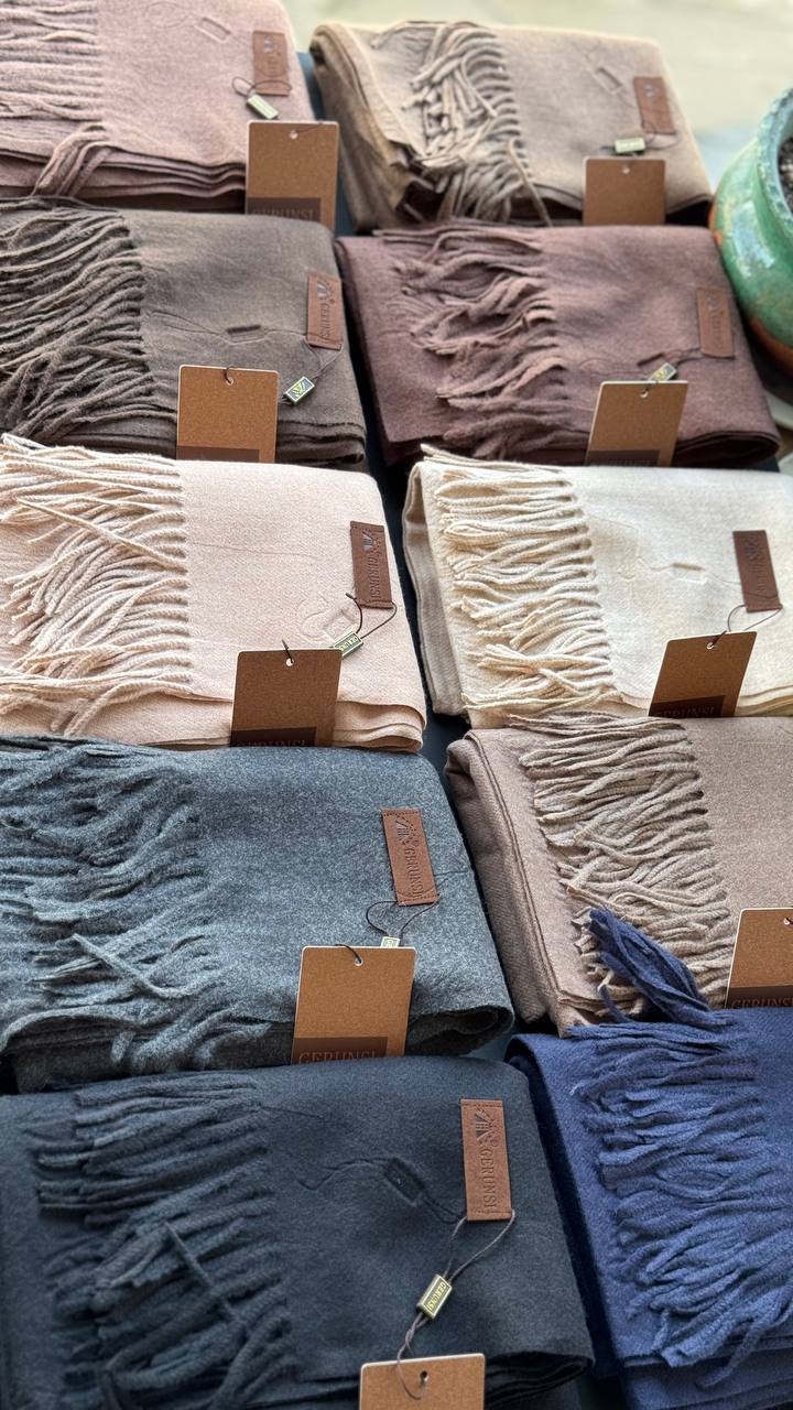 photo_18_2025-10-10_10-09-37