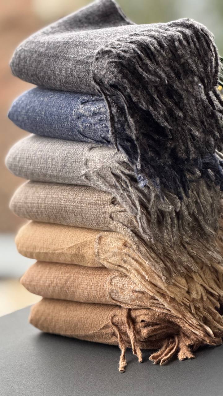 photo_18_2025-10-24_16-01-48