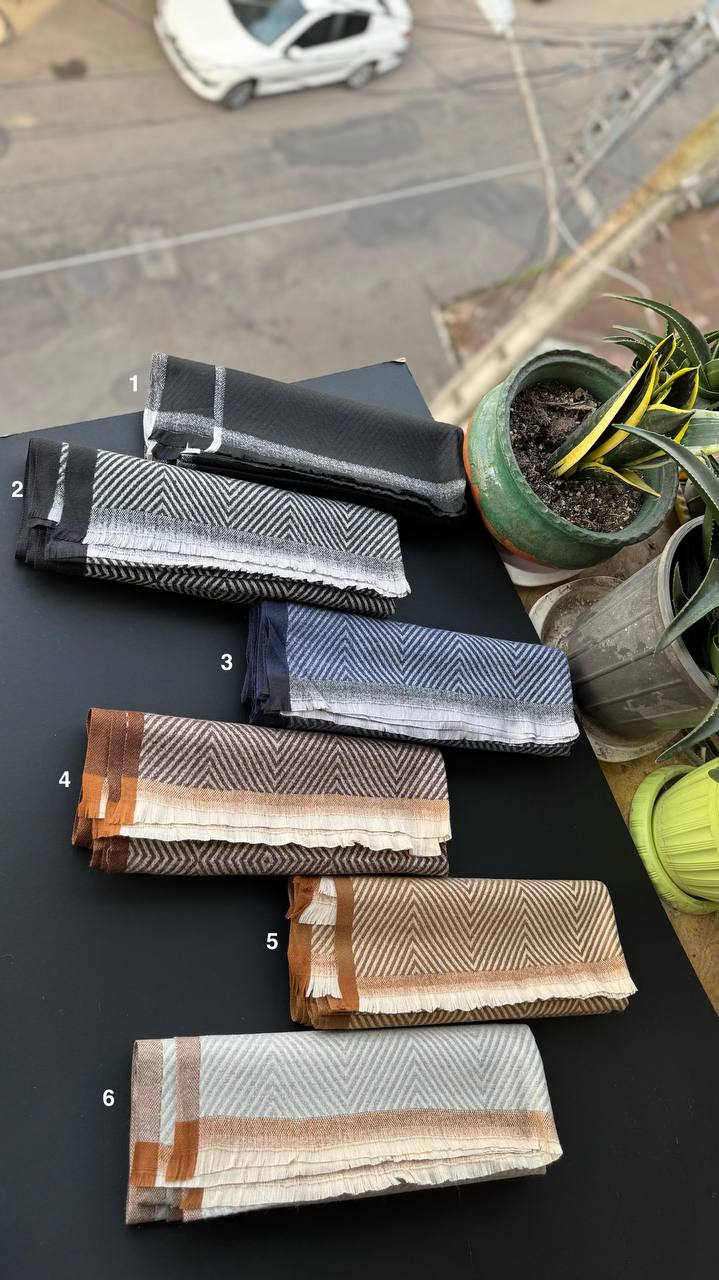 photo_19_2025-10-10_15-25-17