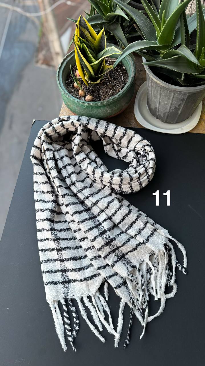 photo_19_2025-10-17_20-01-11