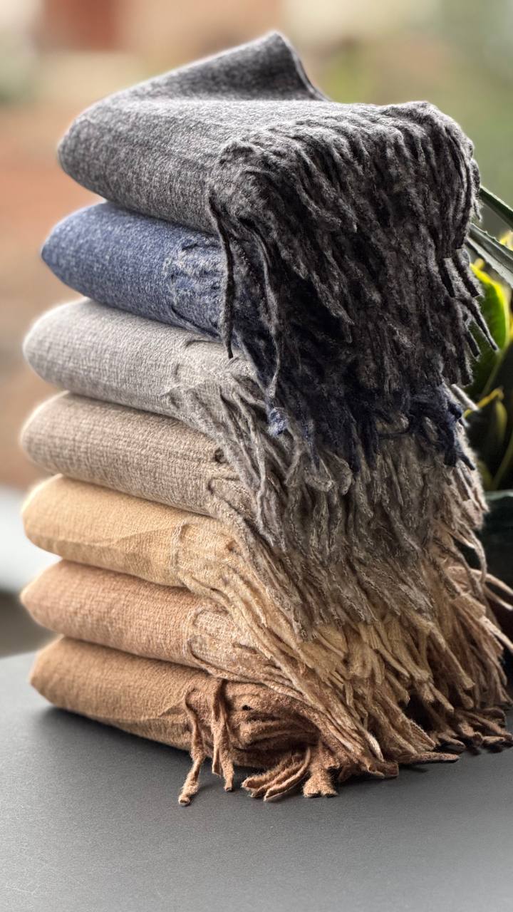 photo_19_2025-10-24_16-01-48