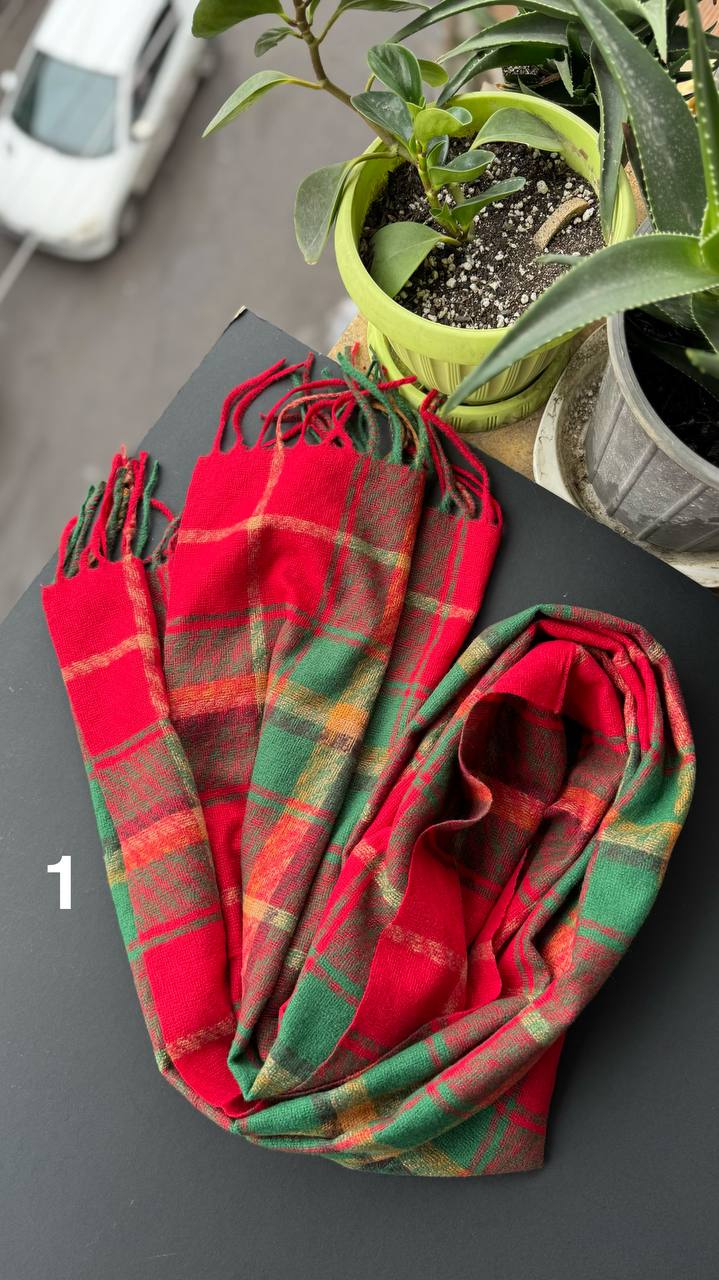 photo_1_2025-10-08_20-17-31