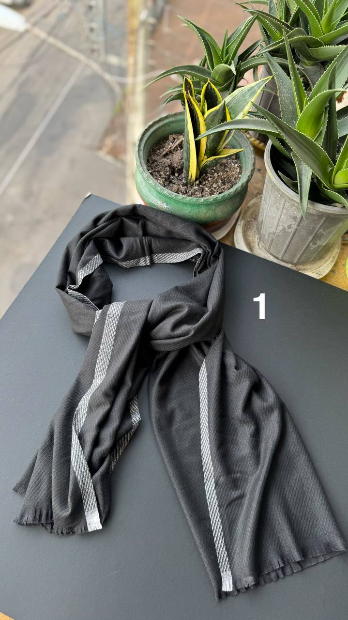 photo_1_2025-10-10_14-56-35