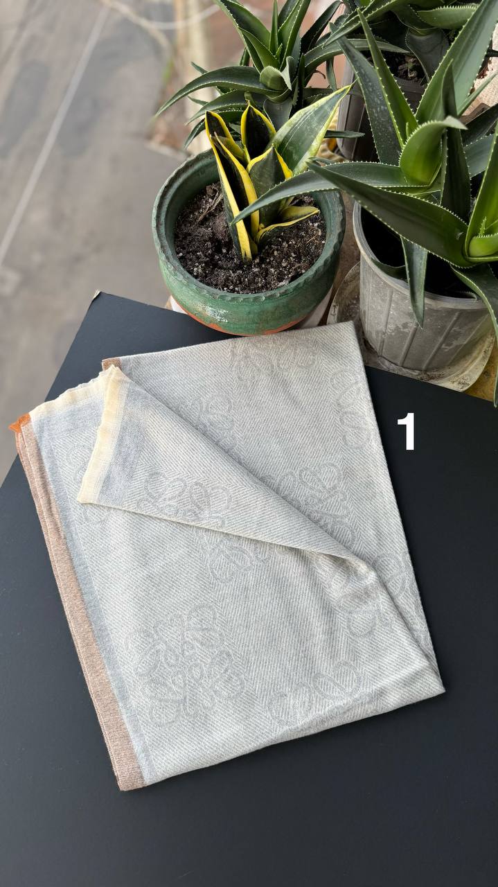 photo_1_2025-10-10_15-16-38