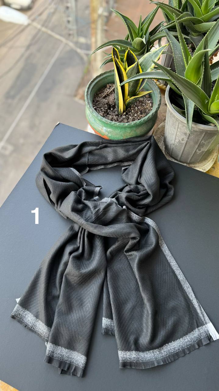 photo_1_2025-10-10_15-25-17