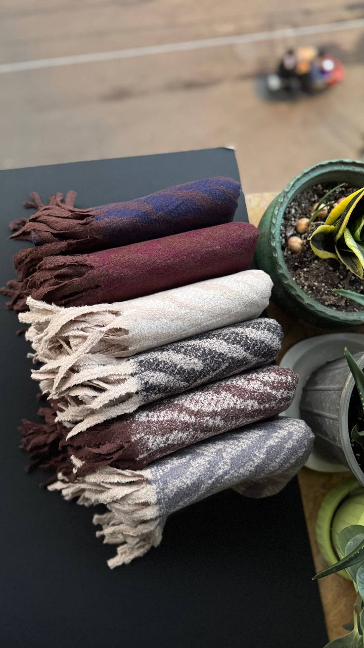 photo_1_2025-10-17_19-28-19