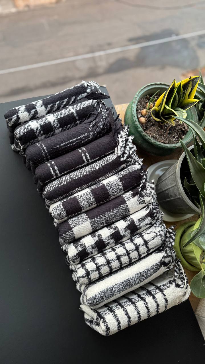 photo_1_2025-10-17_20-01-11