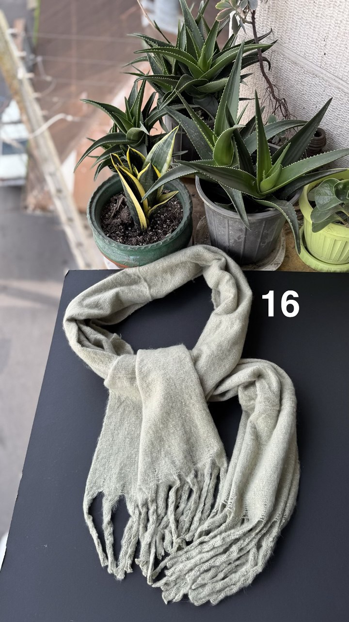 photo_1_2025-10-20_11-40-26