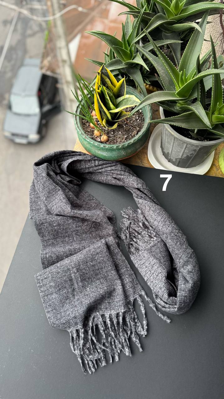 photo_1_2025-10-24_16-01-48