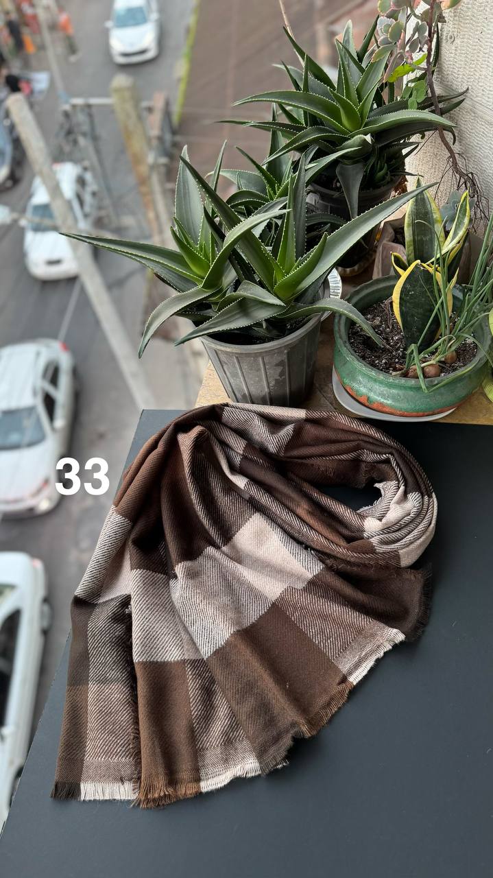 photo_1_2025-11-24_07-02-41