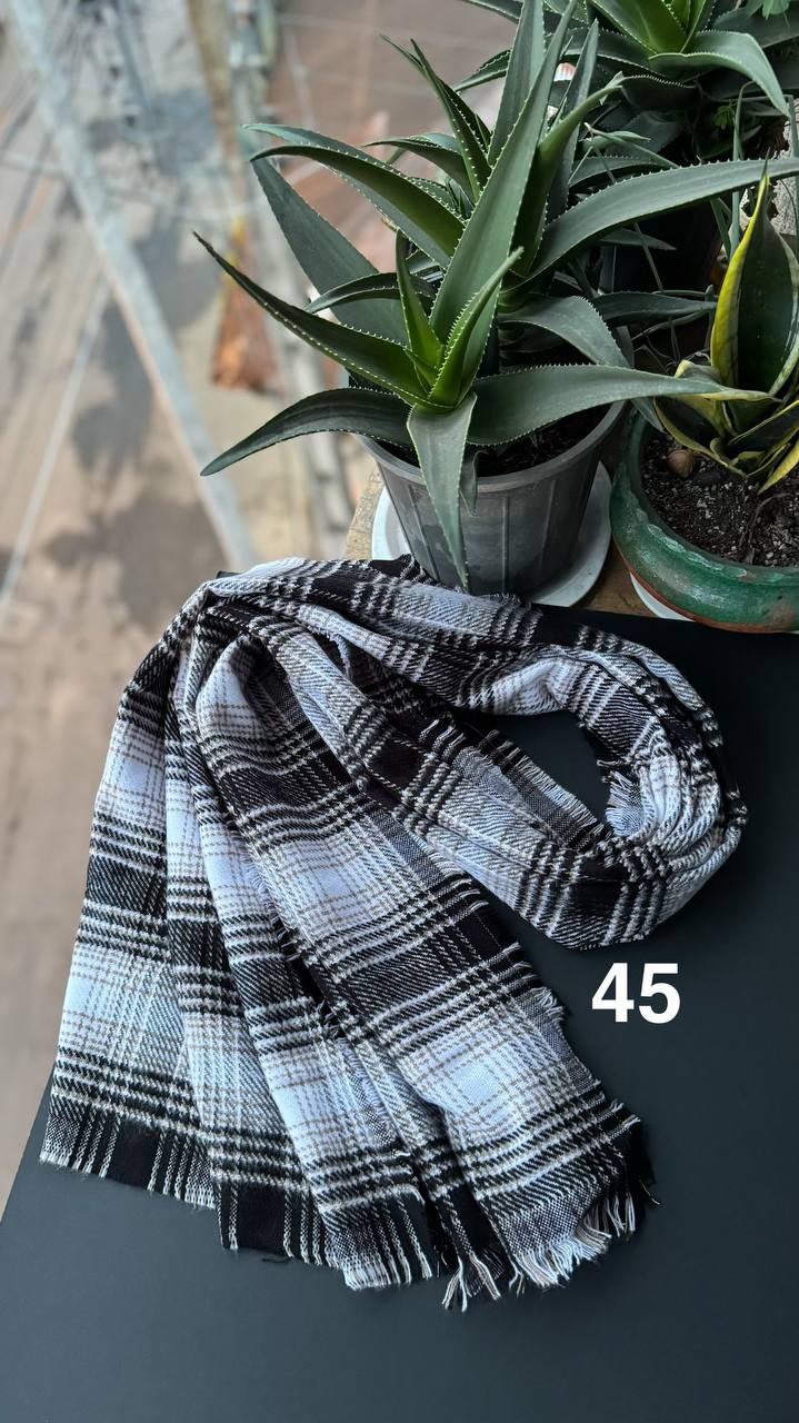 photo_1_2025-12-12_12-16-07