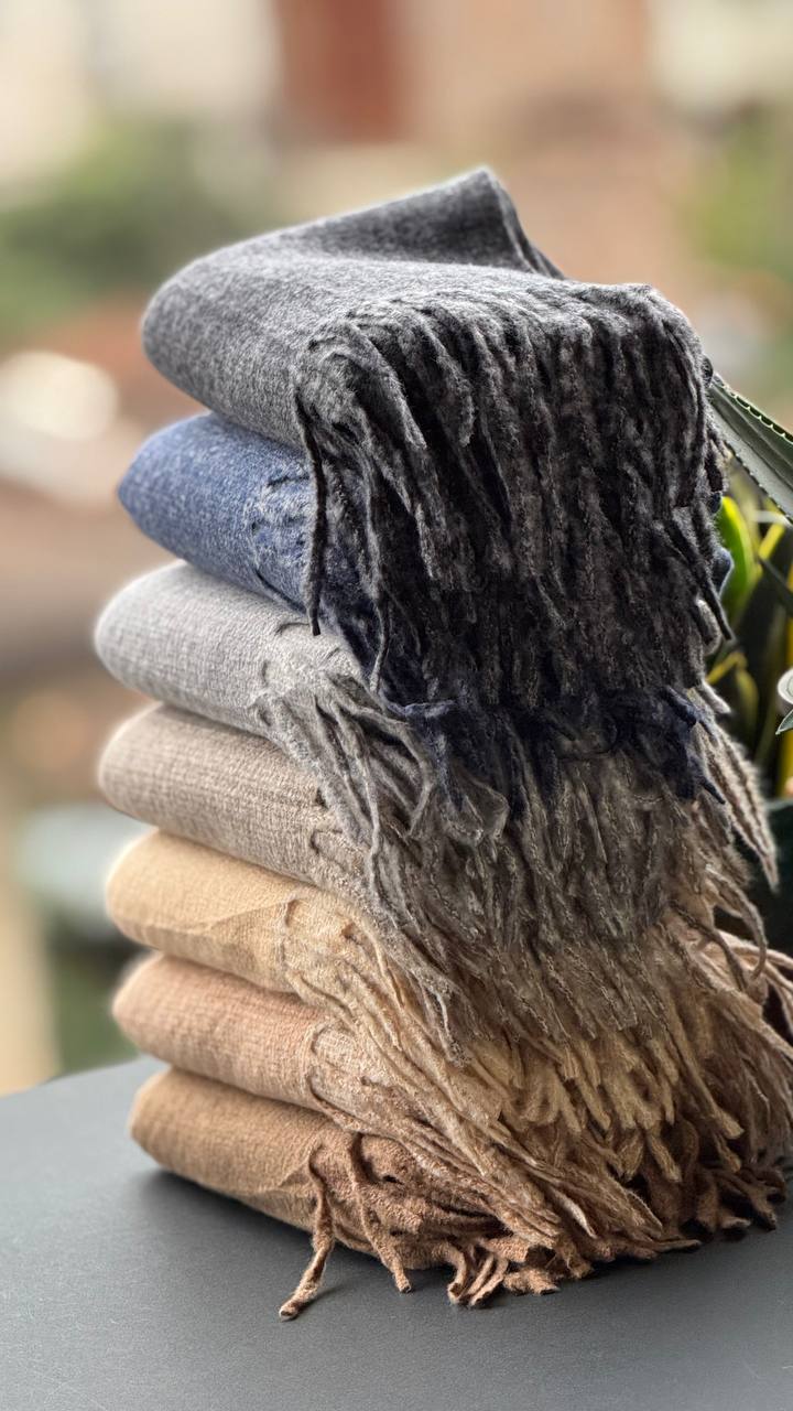 photo_20_2025-10-24_16-01-48