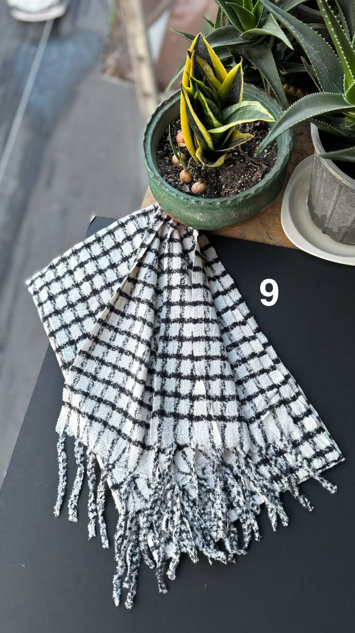 photo_21_2025-10-17_20-01-11