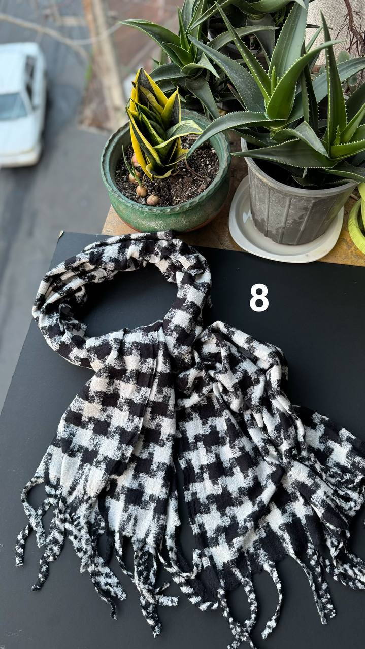 photo_22_2025-10-17_20-01-11