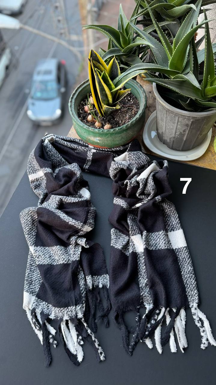 photo_23_2025-10-17_20-01-11