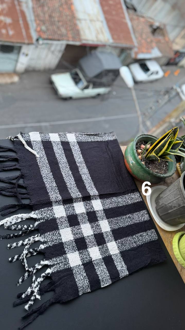 photo_24_2025-10-17_20-01-11