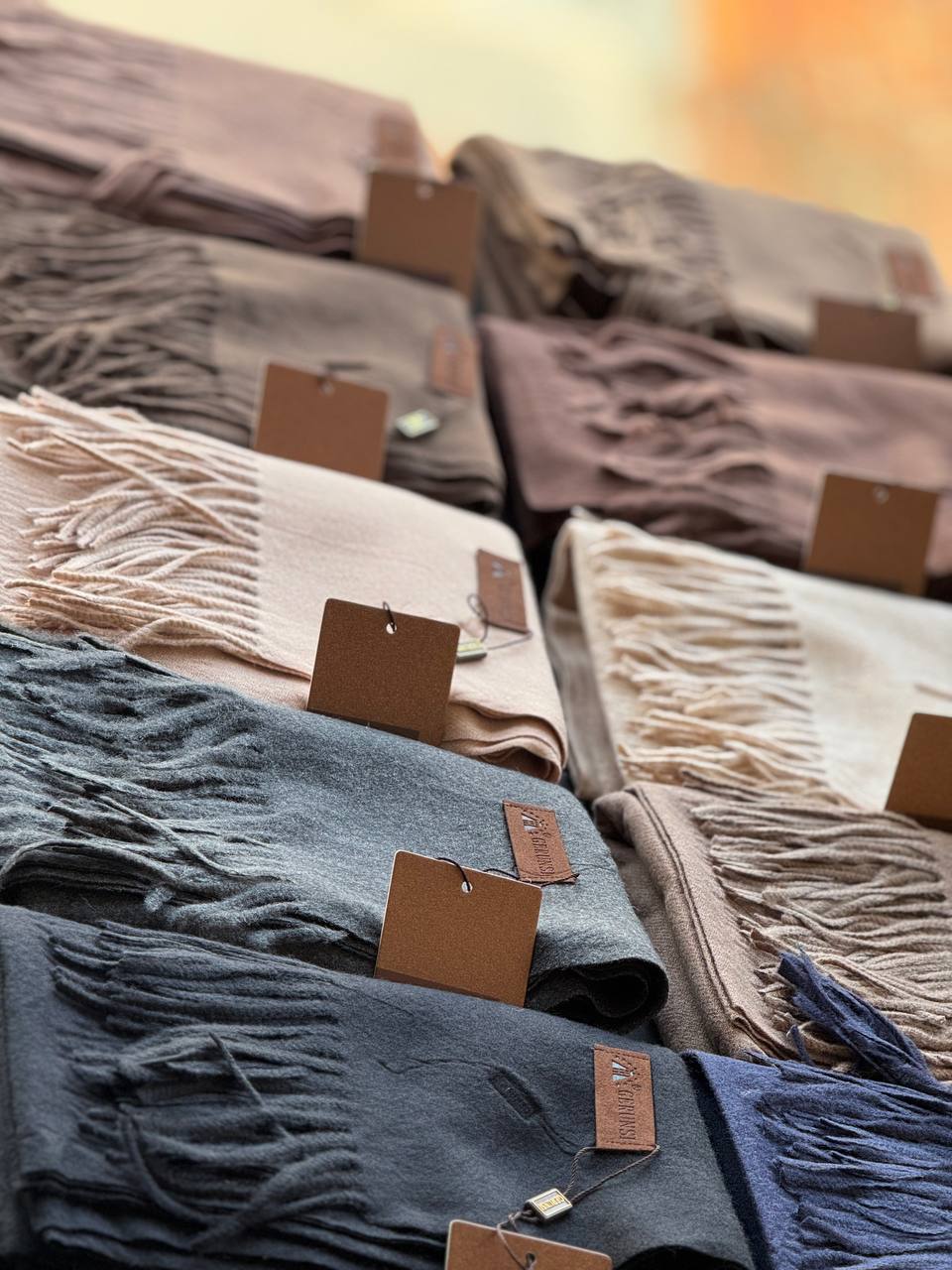 photo_25_2025-10-10_10-09-37