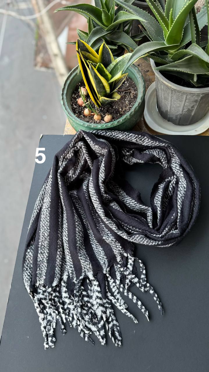 photo_25_2025-10-17_20-01-11