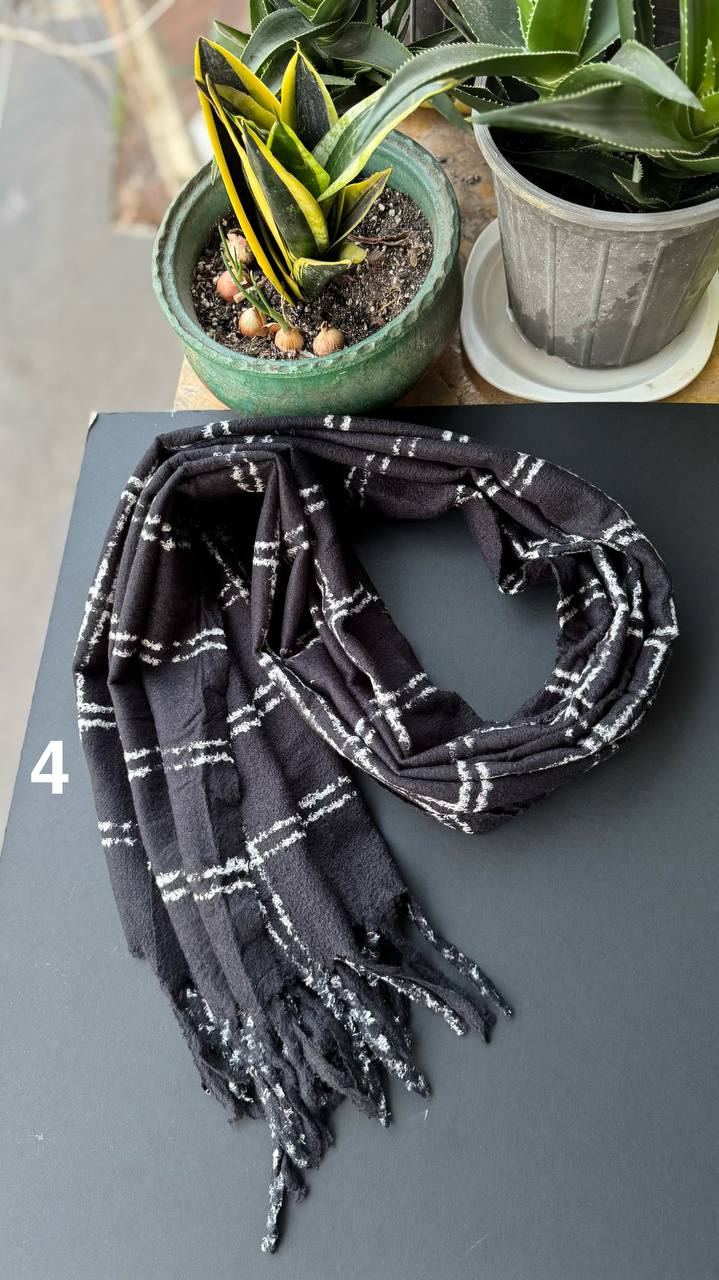 photo_26_2025-10-17_20-01-11