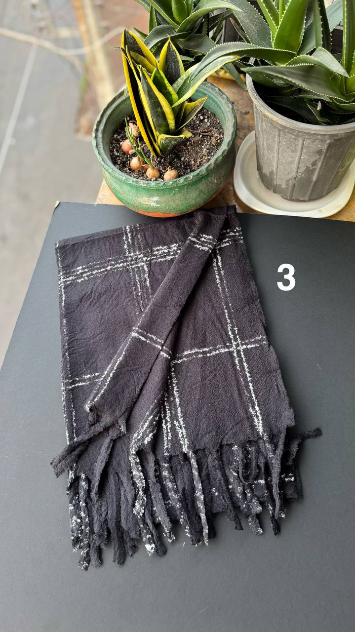 photo_27_2025-10-17_20-01-11