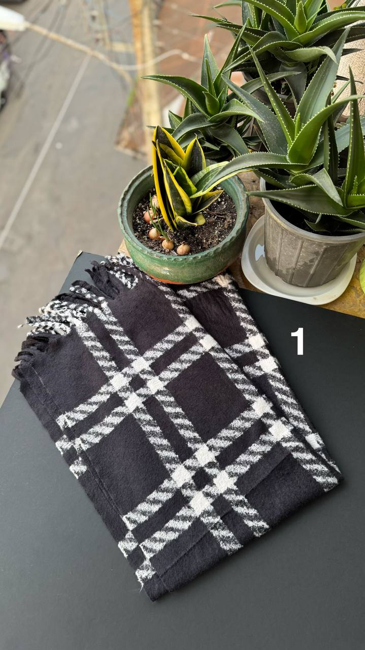 photo_28_2025-10-17_20-01-11