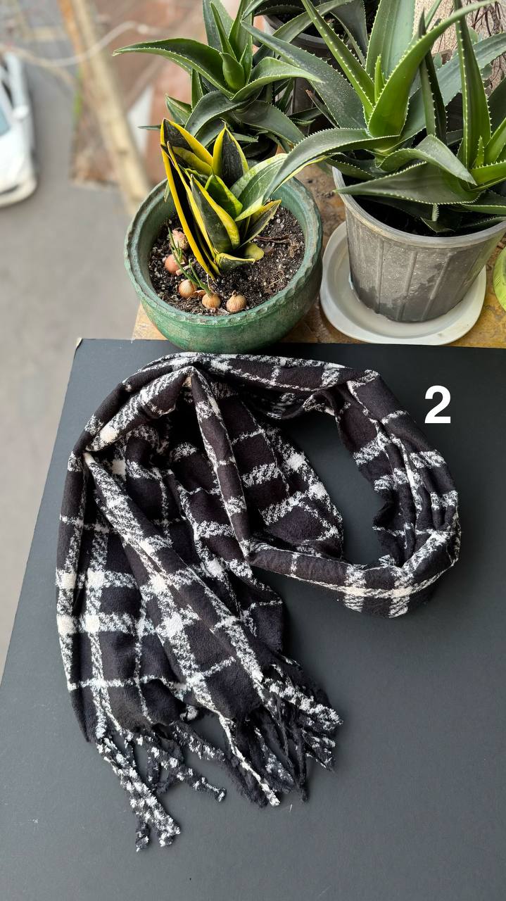 photo_29_2025-10-17_20-01-11