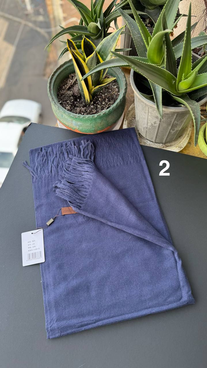 photo_2_2025-10-10_10-09-37