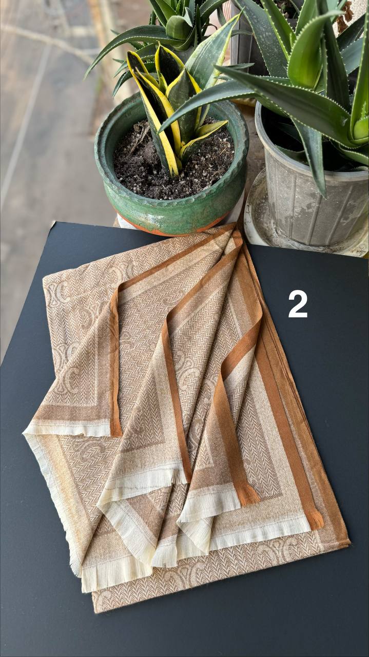 photo_2_2025-10-10_13-36-55