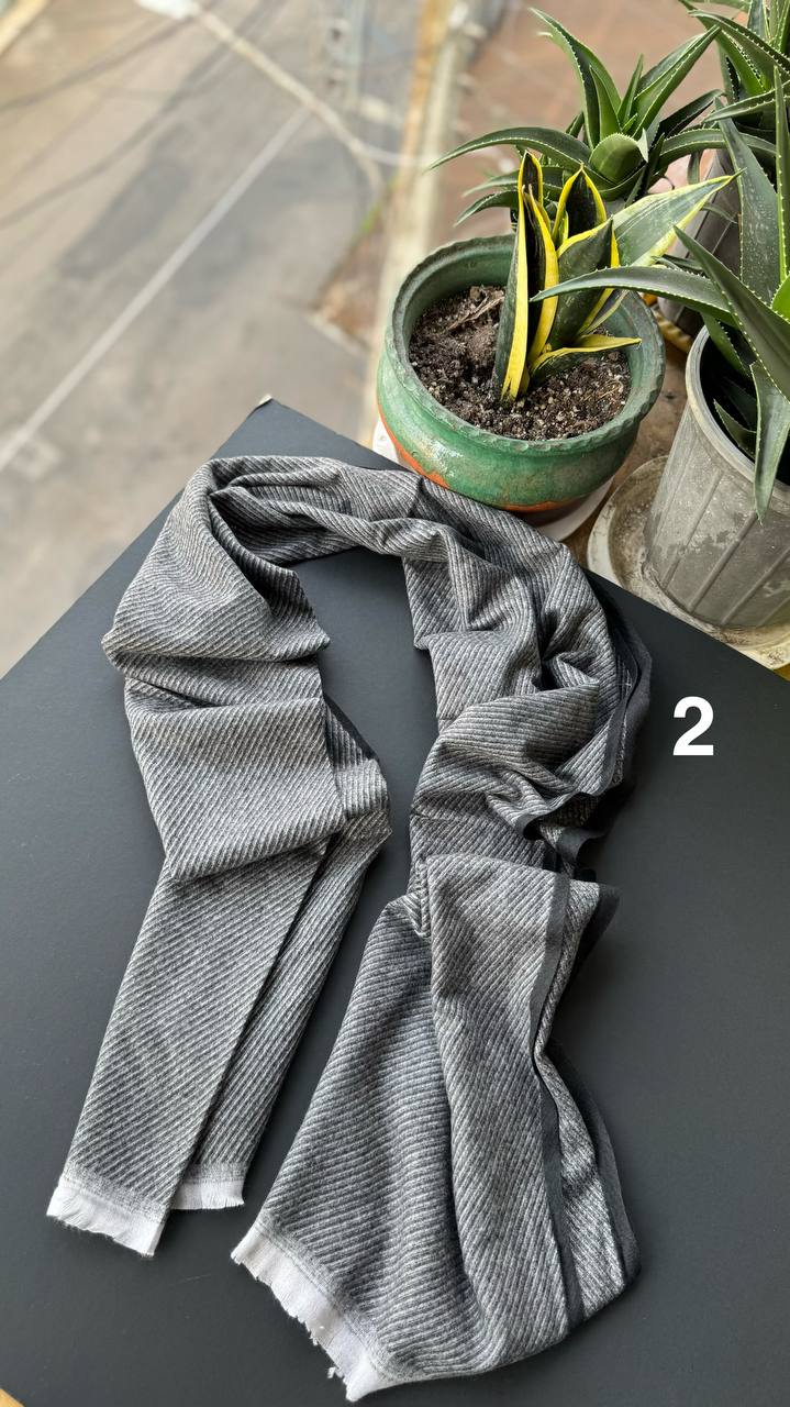 photo_2_2025-10-10_14-56-35